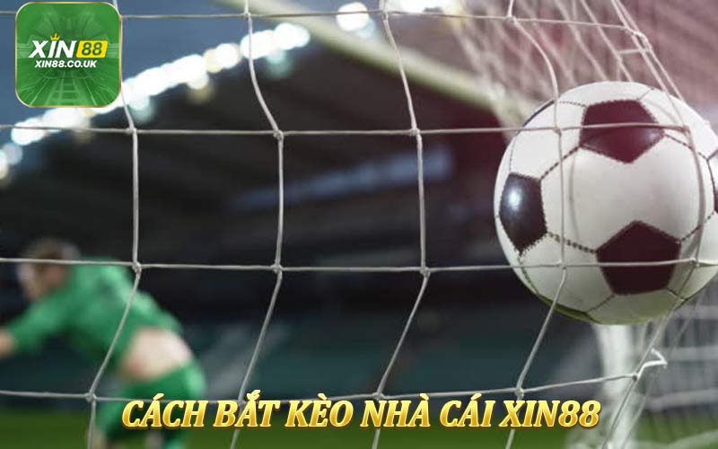 Cách bắt được loại kèo ngon ăn trên nhà cái XIN88