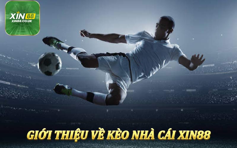 Tìm hiểu về kèo nhà cái Xin88